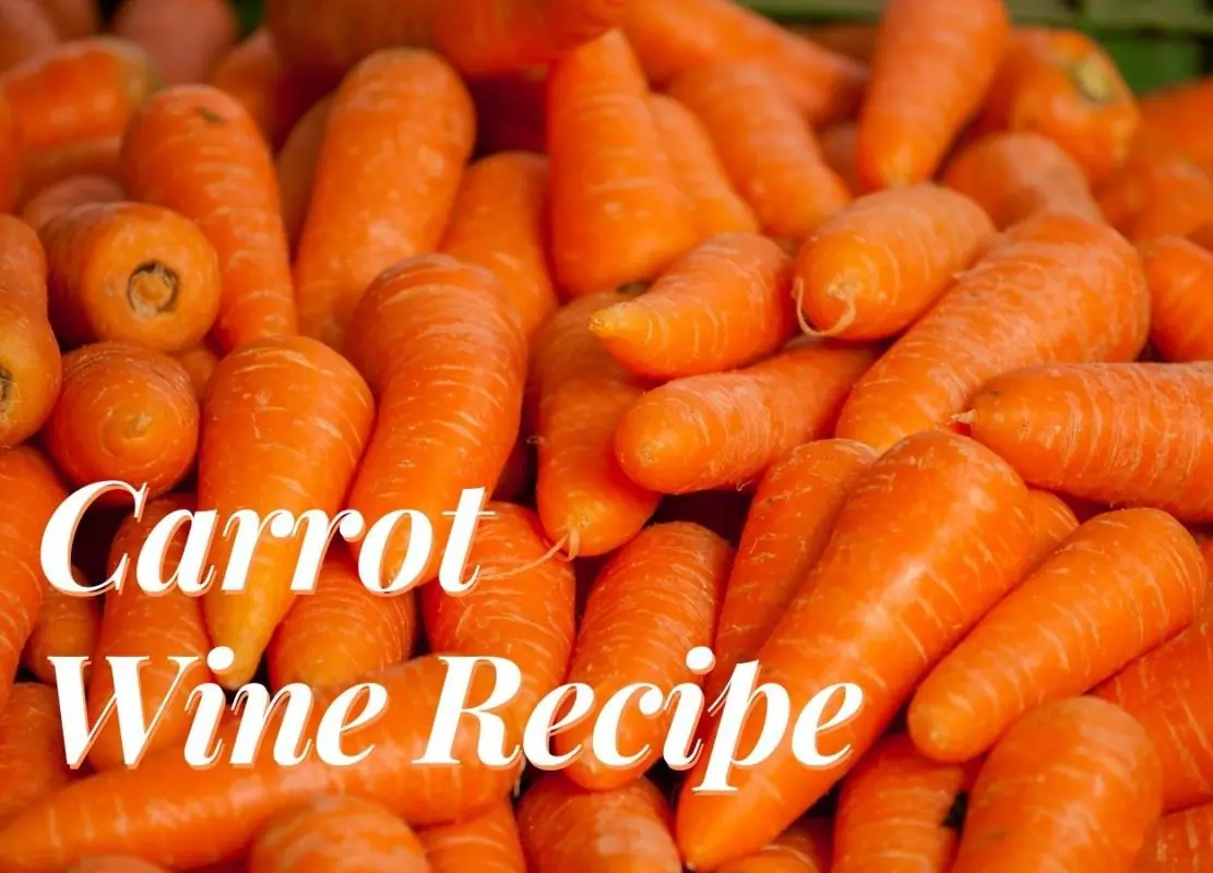 Carrot wine: 4 recipes at home