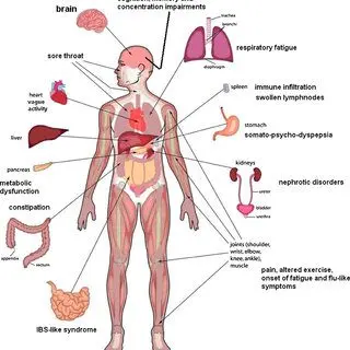 Cause of chronic fatigue &#8211; malnutrition?