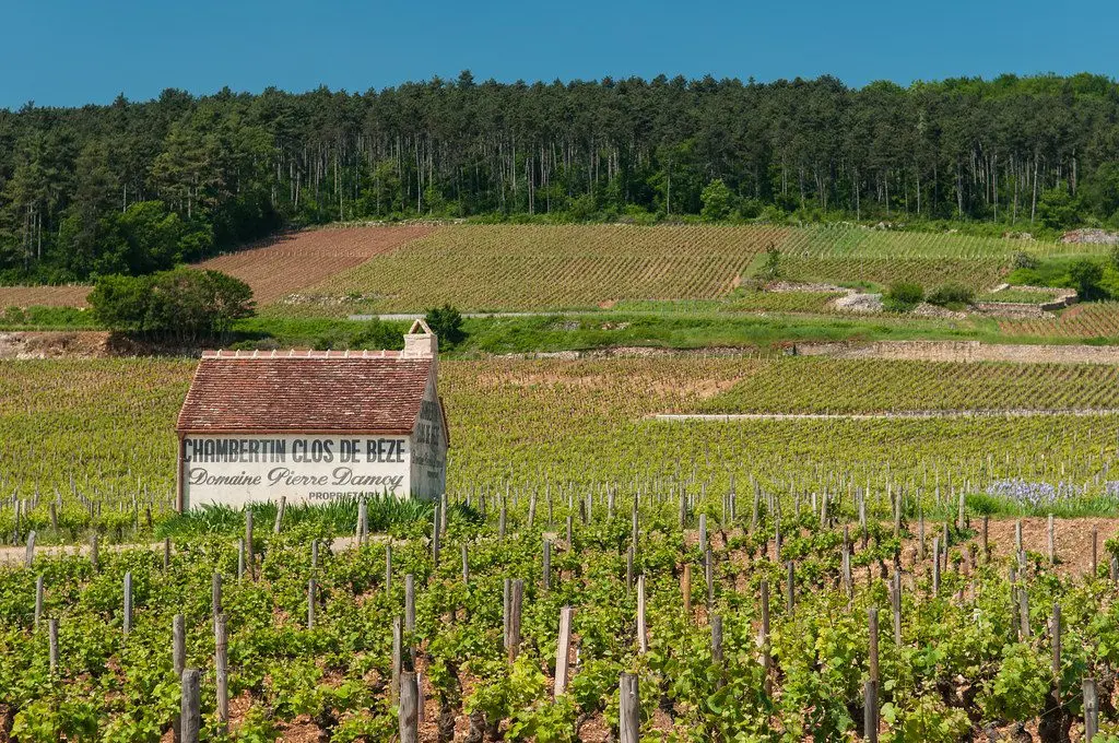 Chambertin (Napoleon&#8217;s favorite red wine)