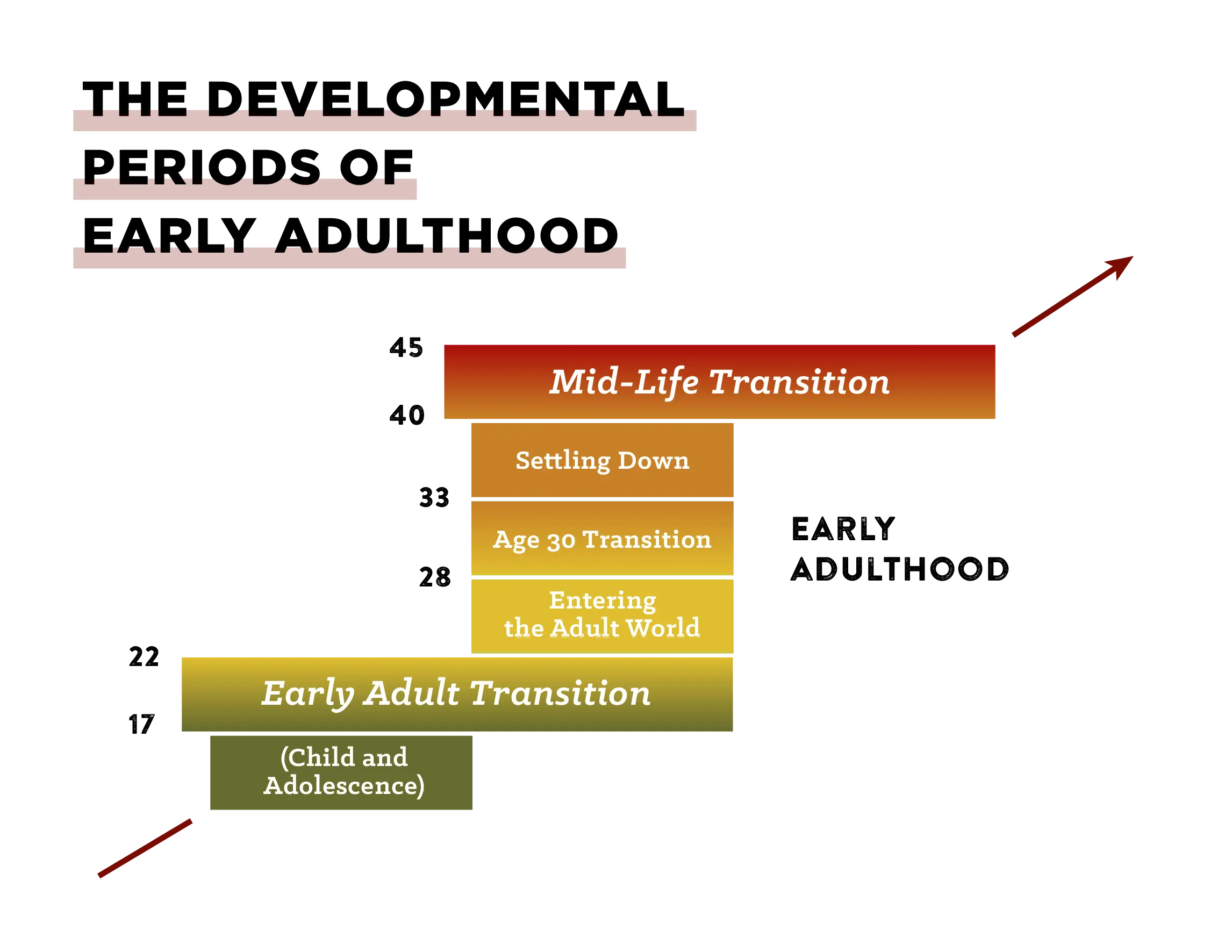 Change profession in adulthood. How?