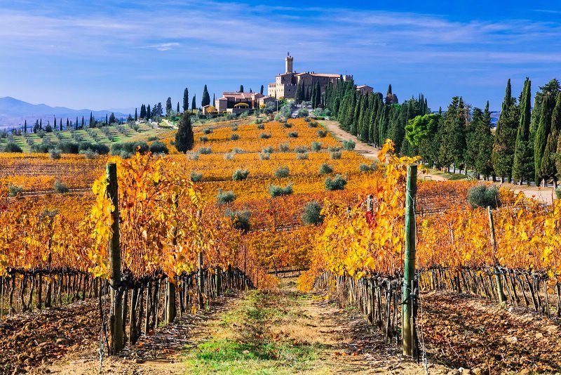 Characteristics of Brunello di Montalcino