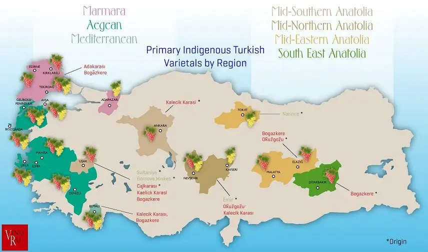 Characteristics of Turkish wines