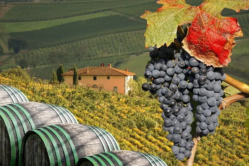 Chianti is the most famous Italian wine.