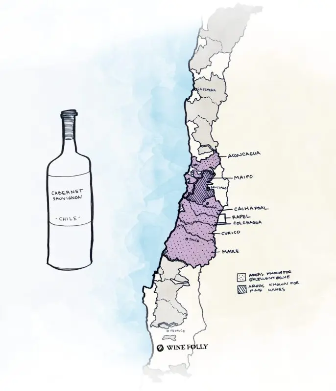 Chilean wine: history, overview of types and tastes