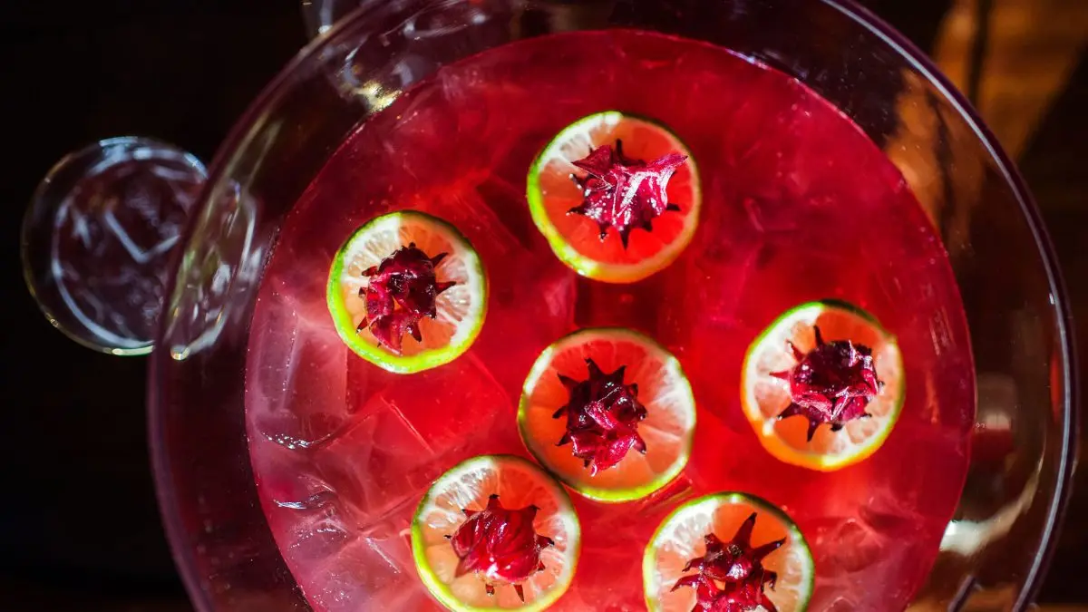 Classic alcohol punch: a guide and 5 historical recipes