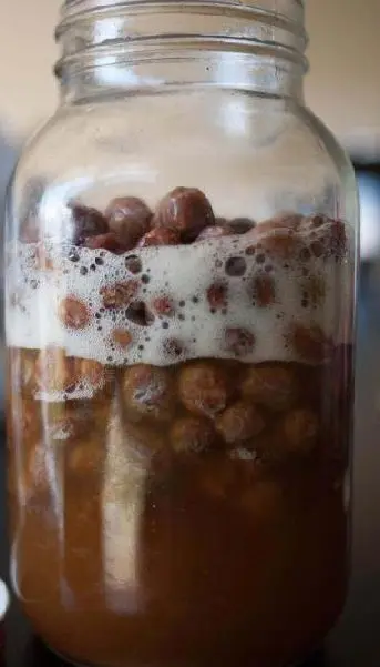 Classic birch kvass with raisins