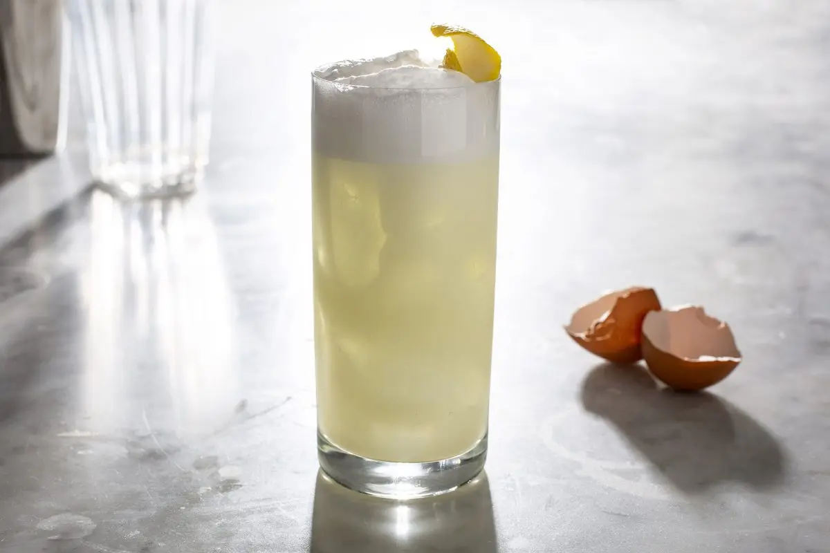 Cocktail Gin Fizz &#8211; invigorating acid