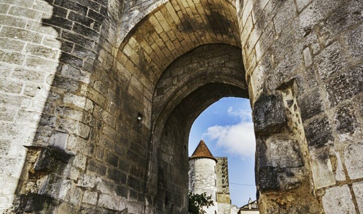 Cognac Country of Stones: history, overview of types, how and with what to drink + how to distinguish a fake