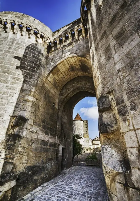 Cognac Country of Stones: history, overview of types, how and with what to drink + how to distinguish a fake