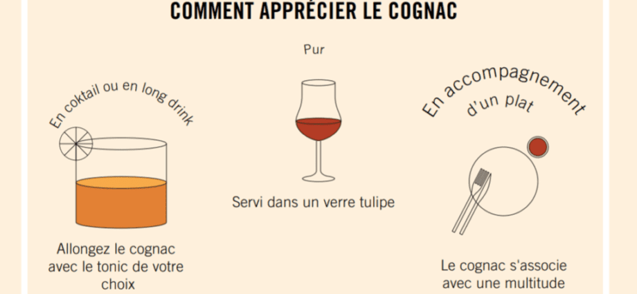 Cognac Dzhigit: history, features, types + how to distinguish a fake