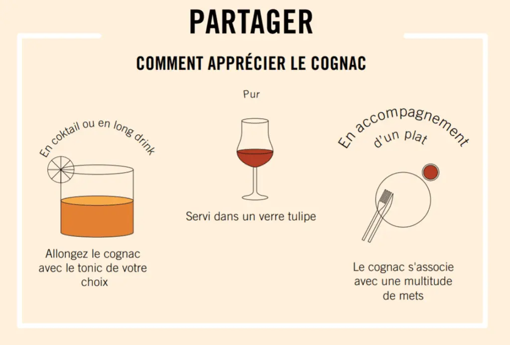 Cognac Dzhigit: history, features, types + how to distinguish a fake
