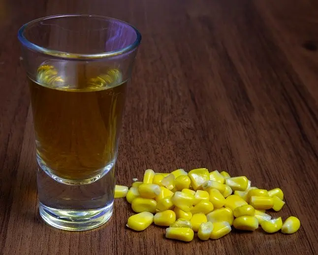 Corn moonshine &#8211; the basis of homemade bourbon