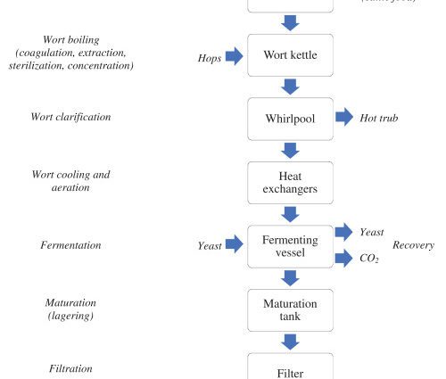 Craft beer: definition, formation, evolution