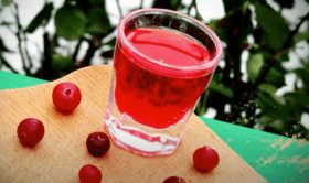 Cranberry &#8211; cranberry tincture. Cranberries on alcohol, vodka, moonshine.