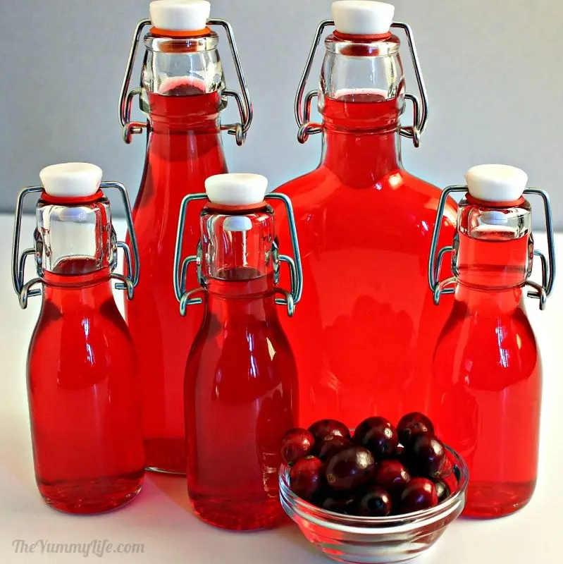 Cranberry liqueur: 4 recipes at home