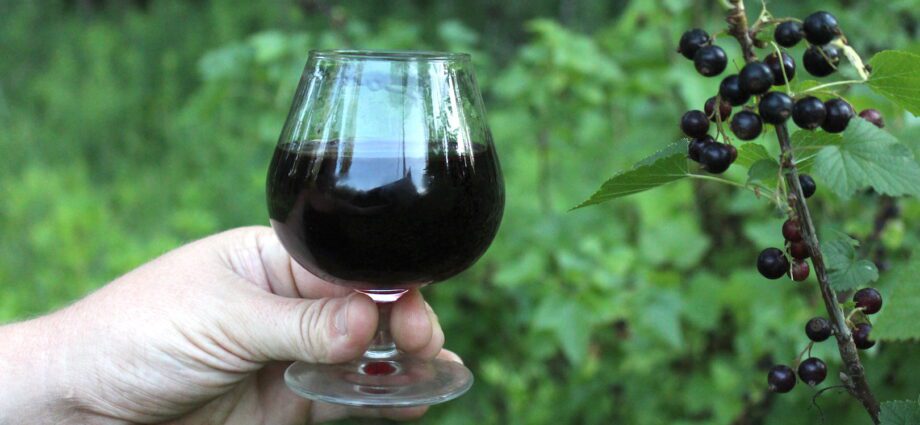 Currant liqueur: 7 recipes at home