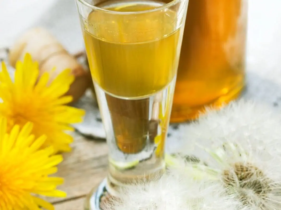 Dandelion liqueur preparation technology