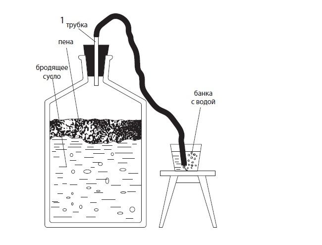 Designs of home-made water seals for wine and mash