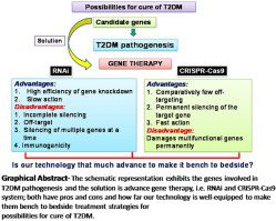 Diabetes mellitus: treatment today, prospects for tomorrow