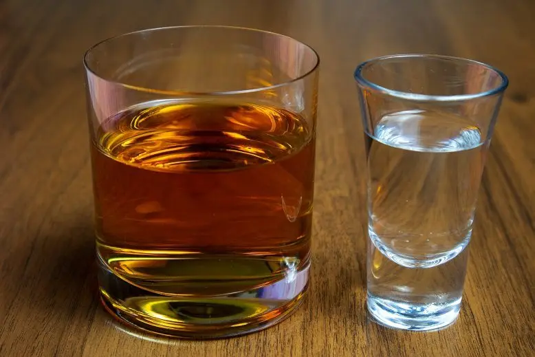 Difference between whiskey and vodka