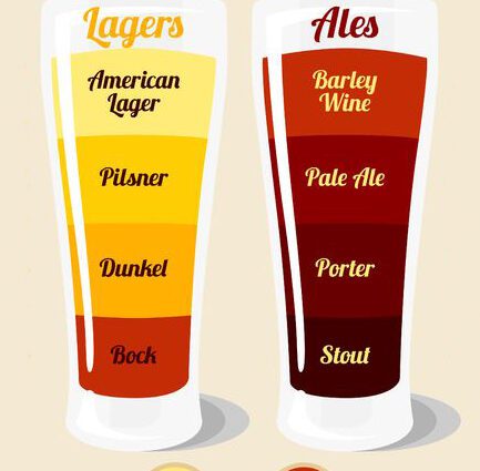 एले र लेगर (सामान्य हल्का बियर) बीचको भिन्नता
