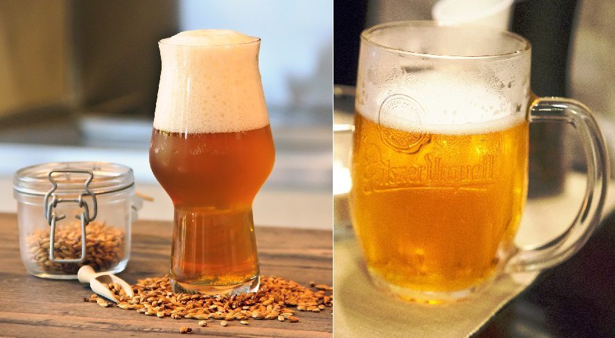 Differences between ale and lager (the usual light beer)