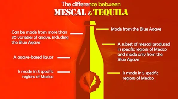 Differences between mezcal and tequila