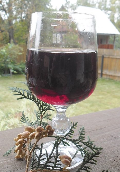 Do-it-yourself homemade wine from irgi