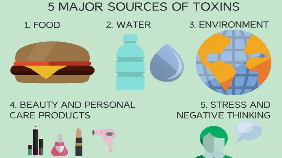 Do we need detoxification?