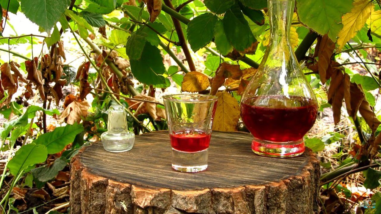 Dogwood tincture on vodka, alcohol and moonshine &#8211; 5 cool recipes