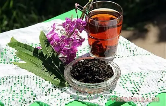 Drinking tincture on Ivan-tea (fireweed)