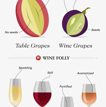 Easy ways to choose delicious wine