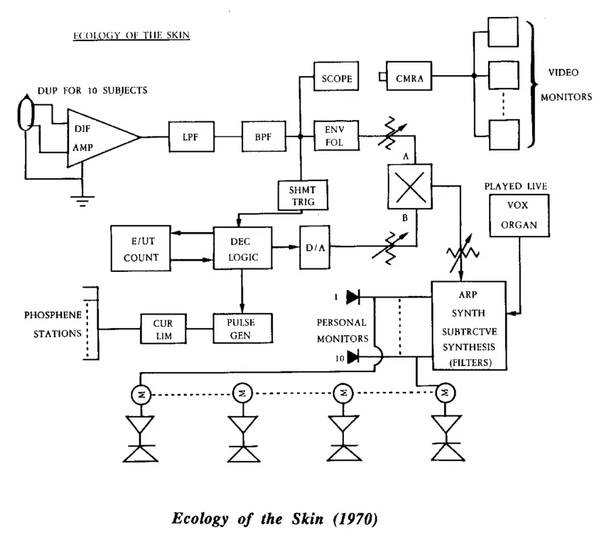 Ecology of the skin