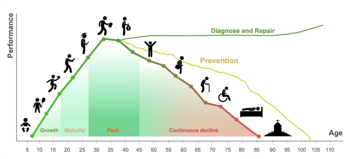 Effective altruism: what is it?
