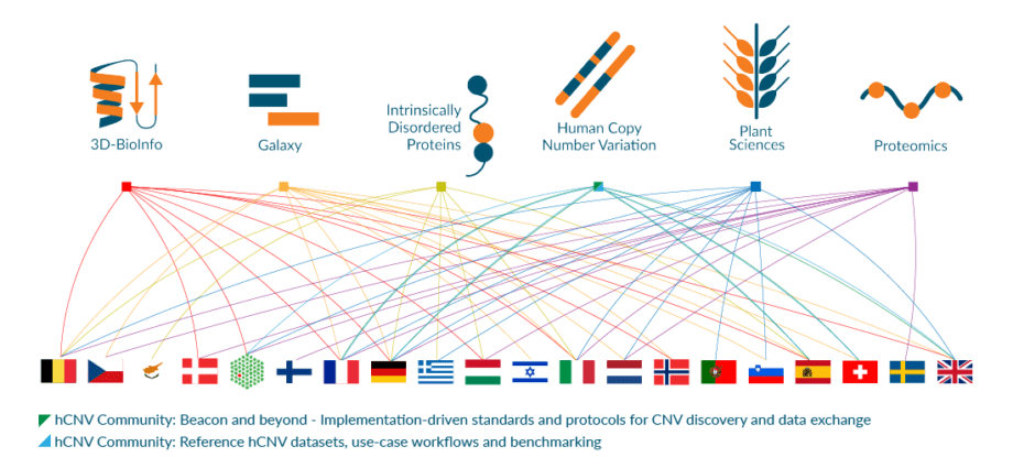 Expertise: funds from the new Elixir 7.9 line, Yves Rocher