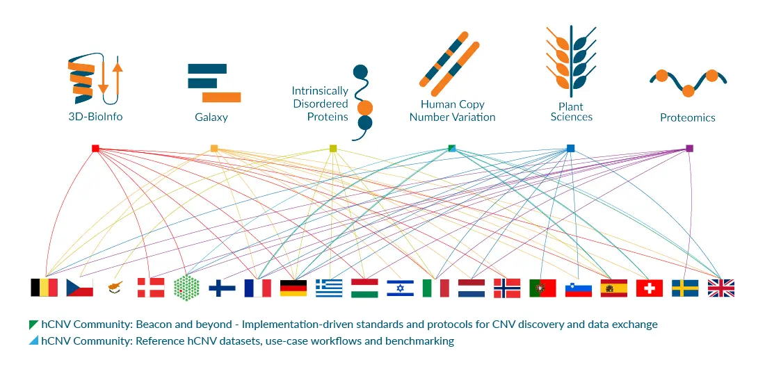 Expertise: funds from the new Elixir 7.9 line, Yves Rocher