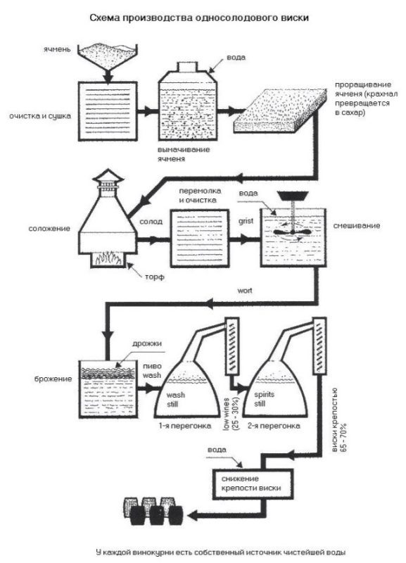 Features and culture of drinking Scotch whiskey