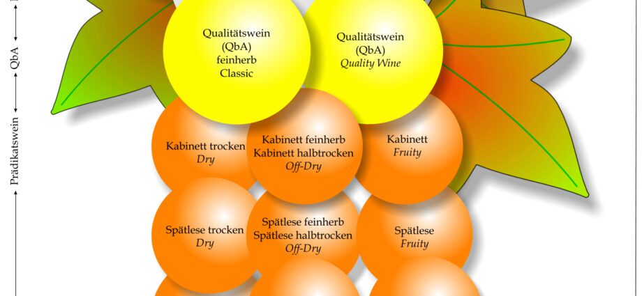 Features of German wines (Deutschen wines)