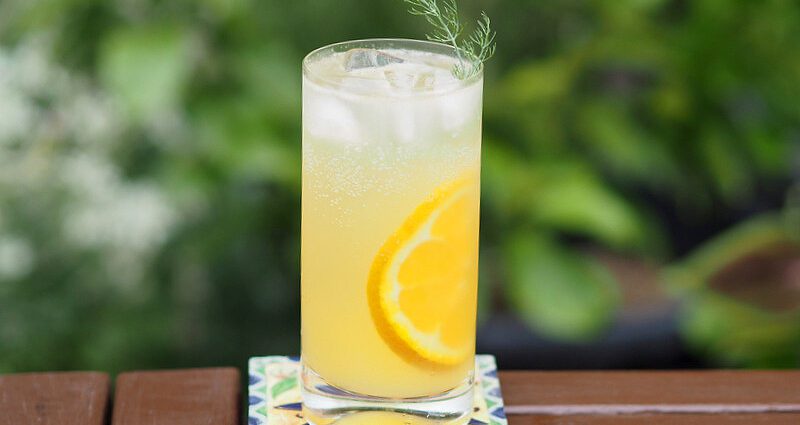 Fennel Collins cocktail recipe