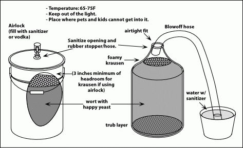 Fermenter: what is it and what should it be + scheme