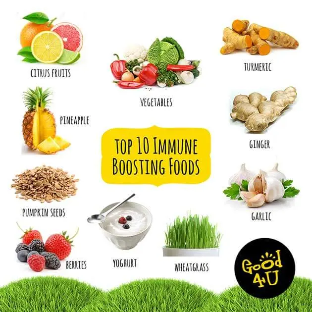 food to boost immunity