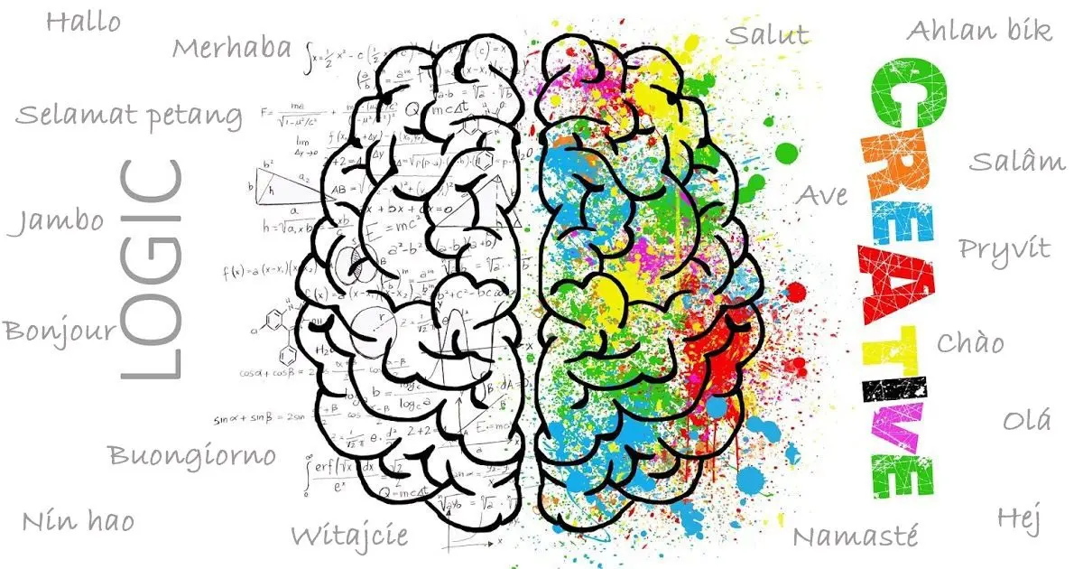 Foreign language and brain development: 6 amazing facts