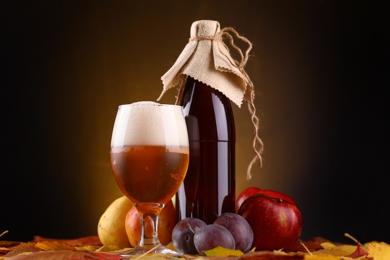 Fruit Beer