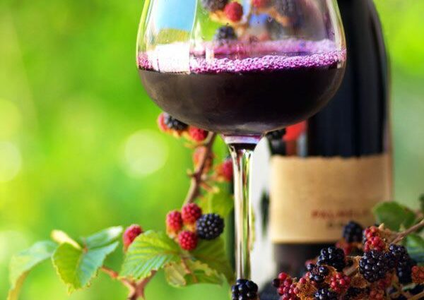 Fruit wine: what is it, how is it made + a selection of 27 recipes