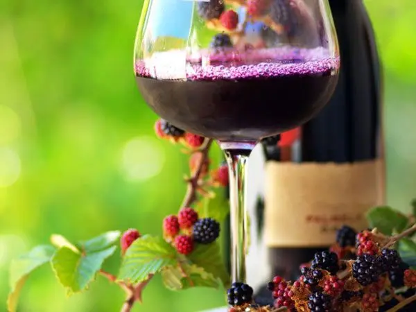 Fruit wine: what is it, how is it made + a selection of 27 recipes
