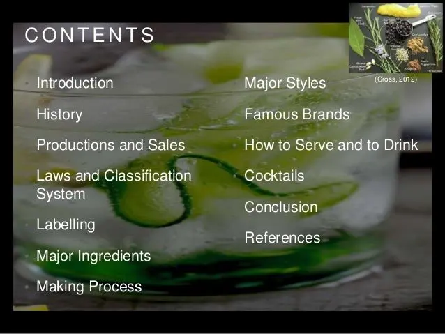 Gin Guide &#8211; Definition, Classification, History