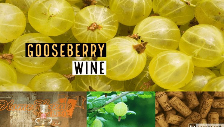 Gooseberry wine: 7 recipes at home