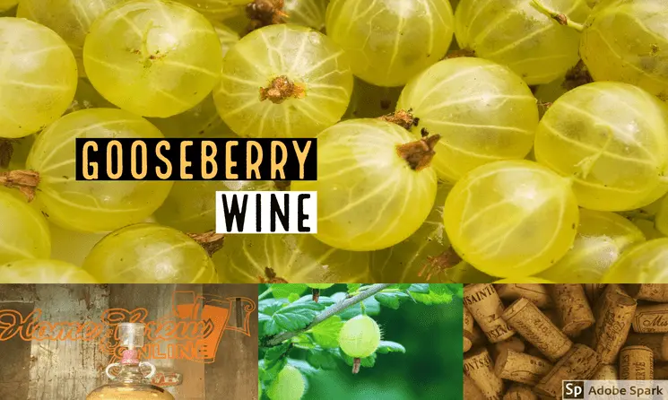 Gooseberry wine at home &#8211; 4 best recipes