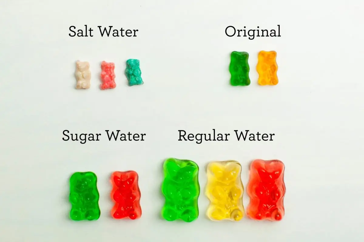 Gummy bear experiment: I try to make a strange TikTok cocktail on the advice of my daughter