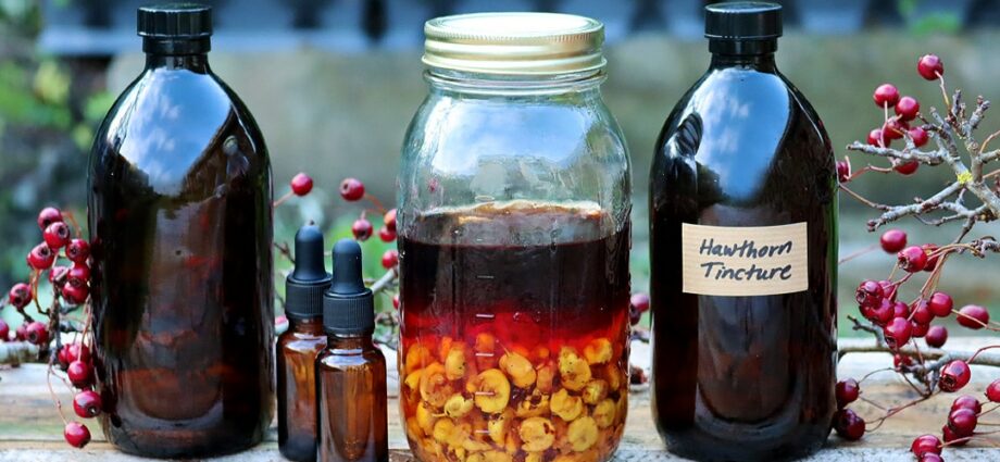 Hawthorn tincture: 3 recipes at home